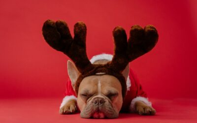 Managing Holiday Stress: Finding Peace in a Busy Season